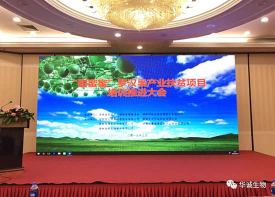 Successfully : 2019 &quot;Sweet&quot; Monk Fruit Industry Poverty Alleviation Program Promoting Conference
